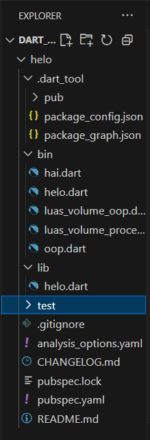 Gambar Struktur Dart di VS Code